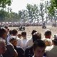 09.31_DSC02908.JPGmini.jpg