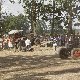 09.31_DSC02996.JPGmini.jpg