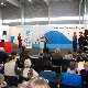 16.25_pp_3990.JPGmini.jpg