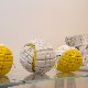 13.46_DSC_1686.JPGmini.jpg
