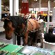 11.09_fot._Marcin_Melanowicz_241009-128.jpgmini.jpg