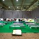 13.46_067.jpgmini.jpg
