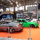 10.37_PACHURA__4_.jpgmini.jpg